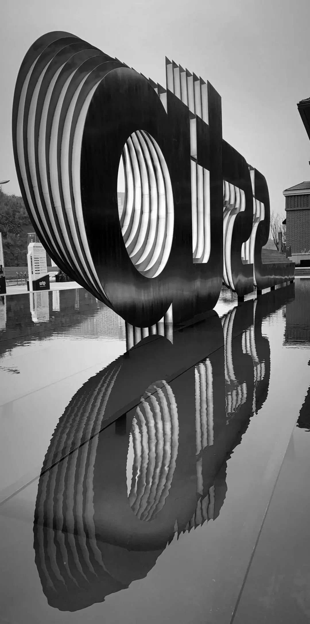 IMG_257