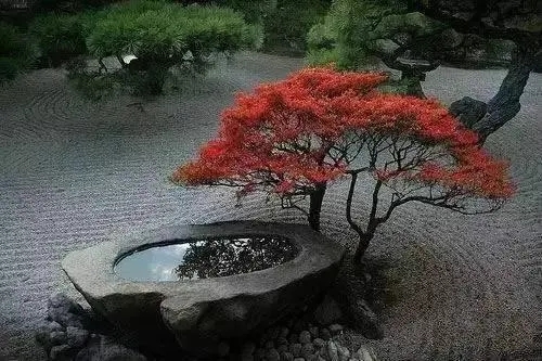 u=2701145577,3781090775&fm=253&fmt=auto&app=138&f=JPEG.webp